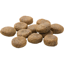 Pure Truthahn & Kartoffel getreidefrei / glutenfrei