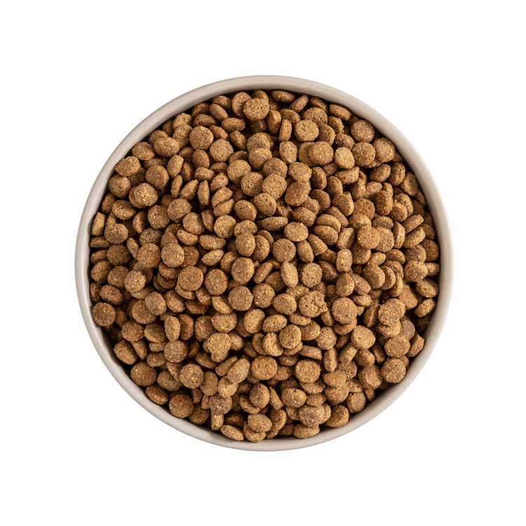 Mera Junior Essential