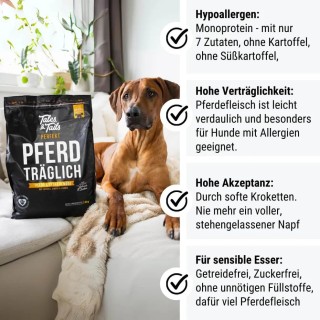Perfekt PferdTräglich